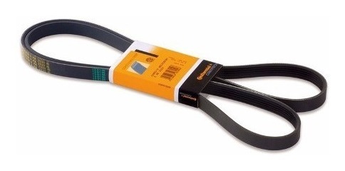 CORREIA POLY-V