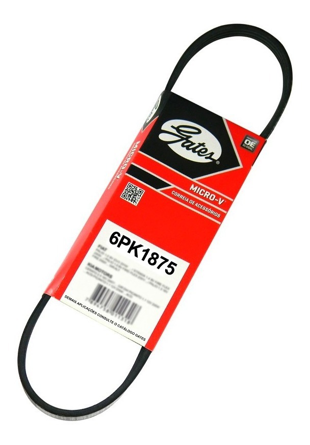CORREIA POLY-V
