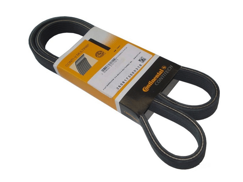 CORREIA POLY-V