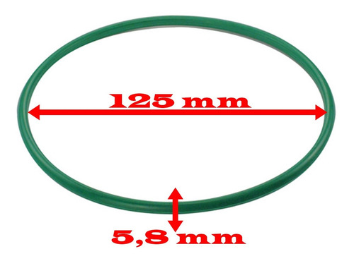 GUARNICAO FLANGE
