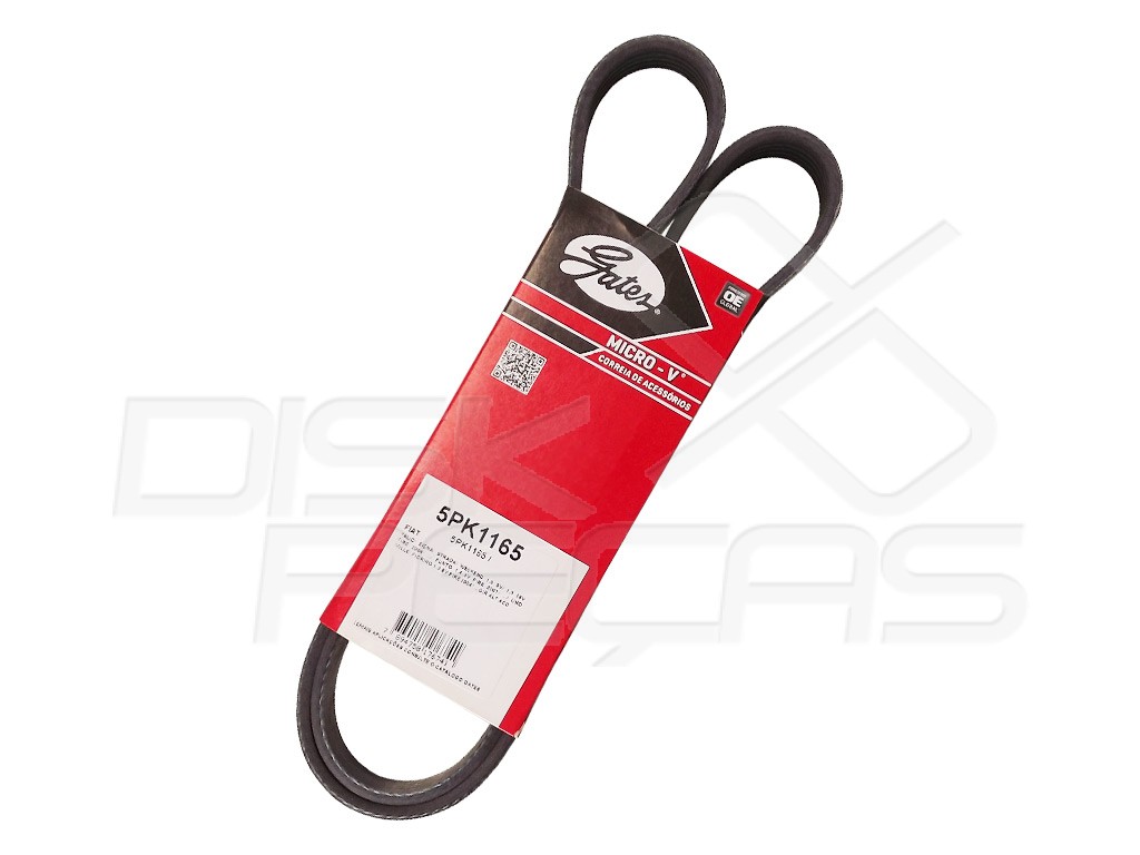 CORREIA POLY-V