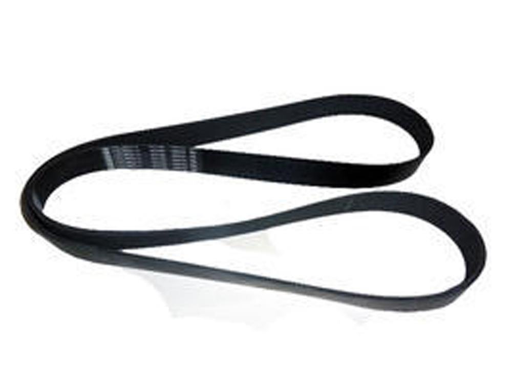 CORREIA POLY-V