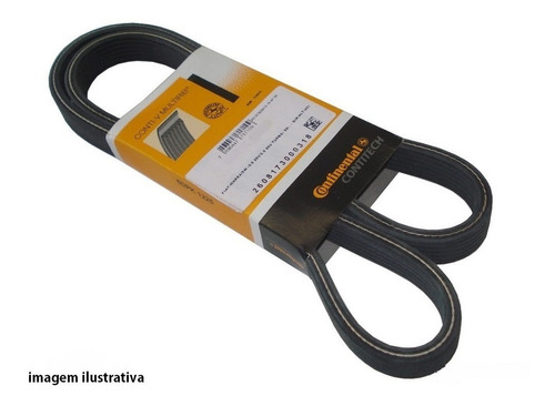 CORREIA POLY-V