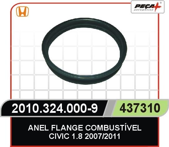 GUARNICAO FLANGE