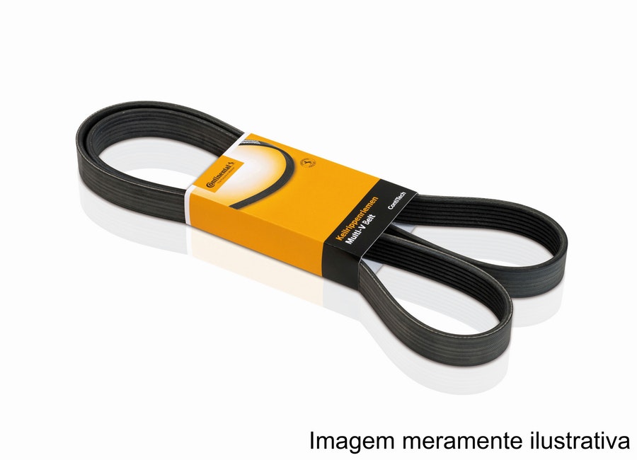 CORREIA POLY-V