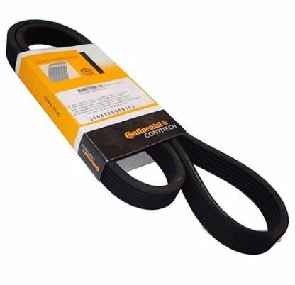 CORREIA POLY-V