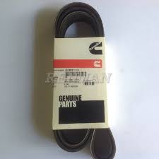 CORREIA POLY-V