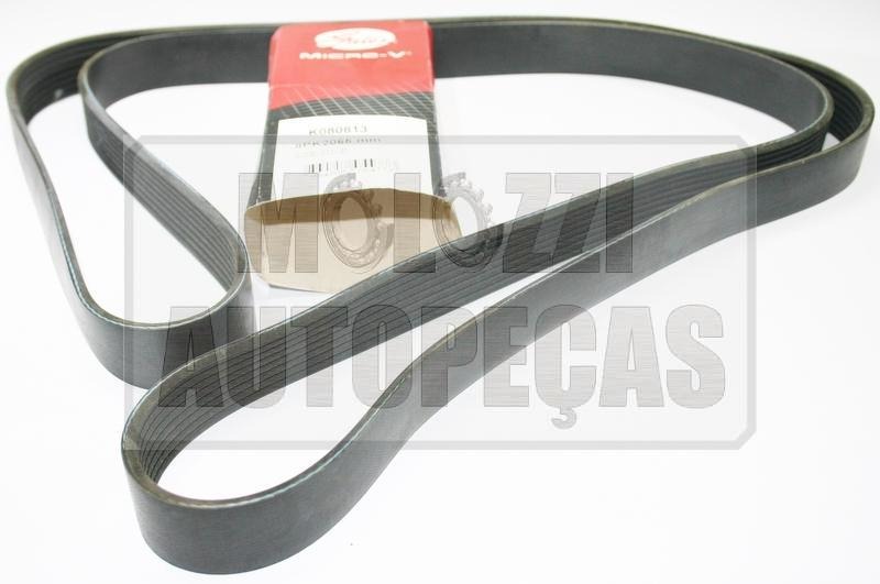 CORREIA POLY-V