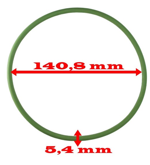 GUARNICAO FLANGE