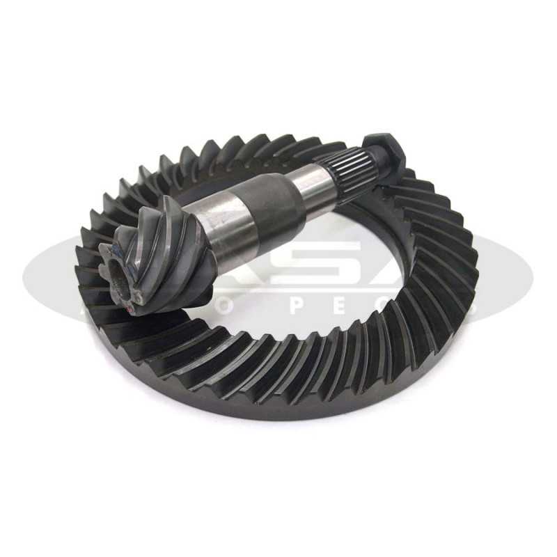 COROA PINHAO 7X41