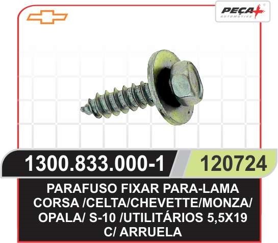 PARAFUSO PLACA 5,5X19