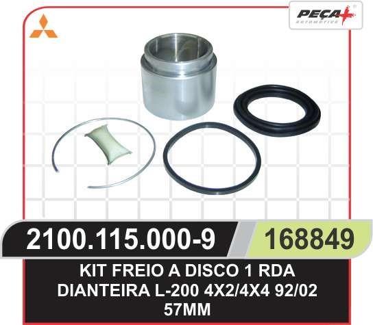 REPARO PINCA FREIO COMPLETO