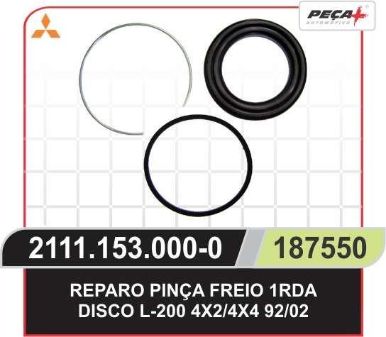 REPARO PINCA FREIO PARCIAL