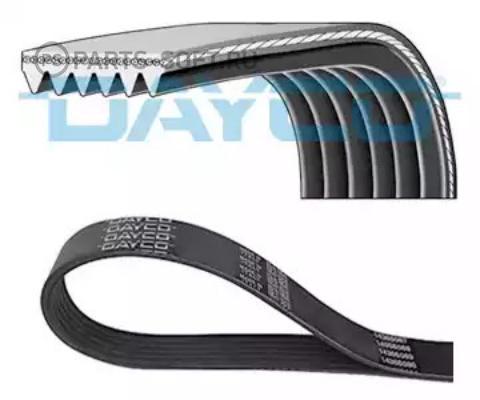 CORREIA POLY-V