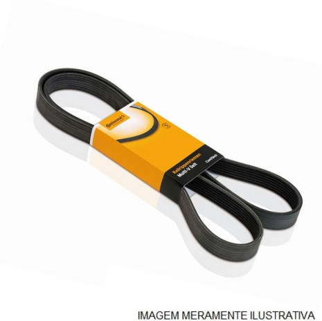 CORREIA POLY-V