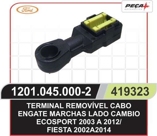 TERMINAL CABO ENGATE CAMBIO